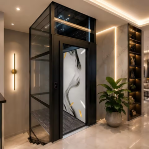 400kg Custom Home Hydraulic Elevator with Custom Voltage and Dimensions
